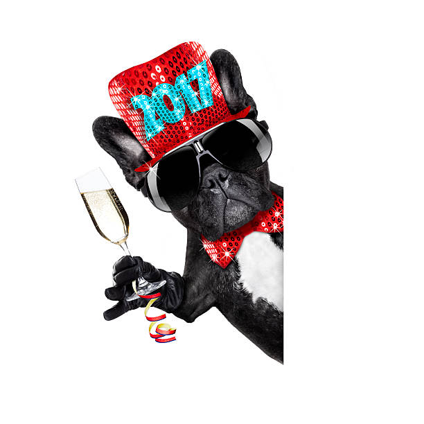 istock happy new year dog celberation 626659896