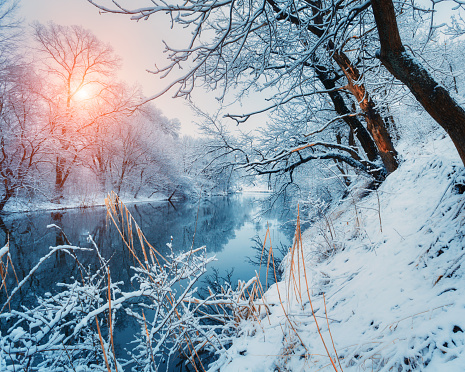 Beautiful winter in forest on the river at sunset
