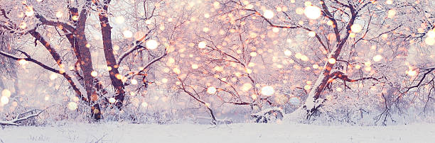 istock Christmas morning in Central park. Snowy winter background. 626670068