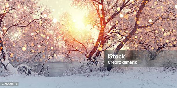 Sonniger Weihnachtsmorgen Sonne Beleuchten Schneeflocken Stockfoto und mehr Bilder von Winter