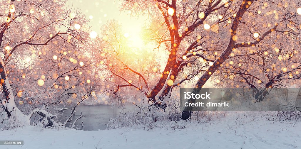 Soleada mañana de Navidad. El sol ilumina los copos de nieve. - Foto de stock de Invierno libre de derechos