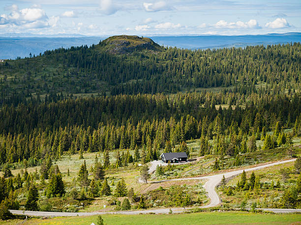 istock View of the countryside, Norway 626670544