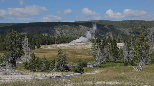istock Castle geyser in Yellowstone, USA 626678840