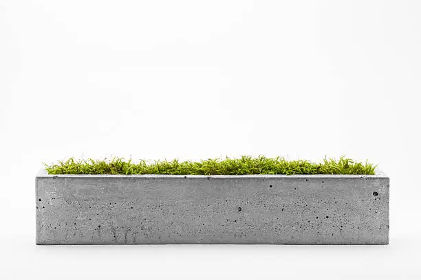 Rectangular pots of concrete with a white background