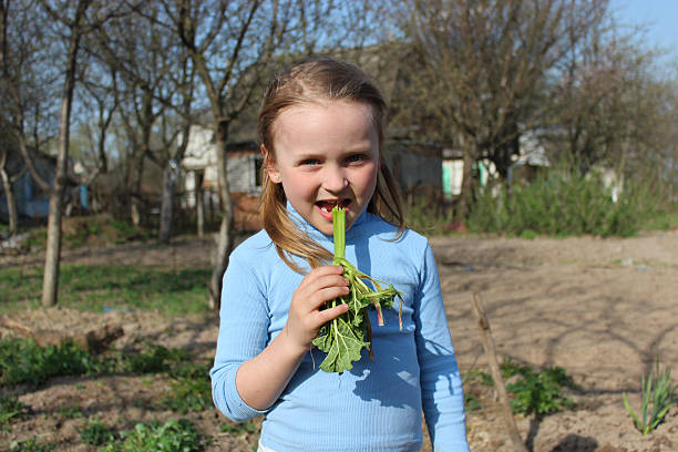 маленькая девочка жевательные молодой росток rhubard - symbols of peace child human hand seedling стоковые фото и изображения