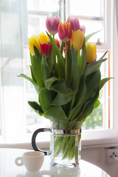 istock Bouquet of Tulips with Coffee Cup 626684504