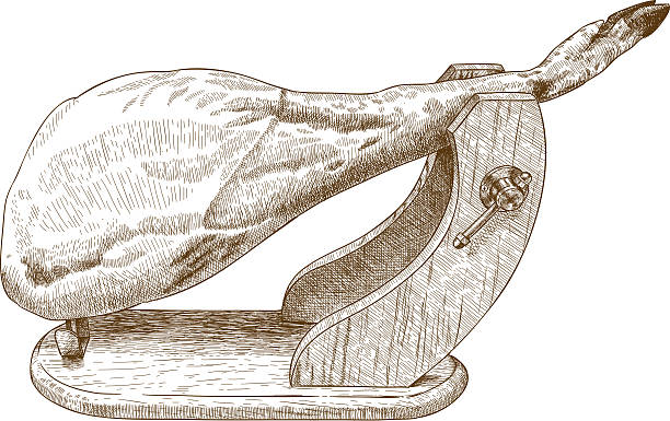 engraving illustration of jamon Vector antique engraving illustration of jamon serrano isolated on white background pork illustrations stock illustrations