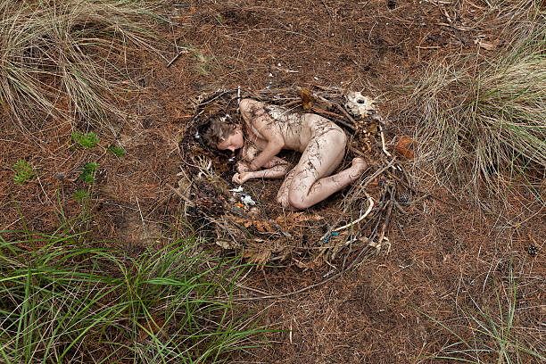 istock Female in a nest 626692164