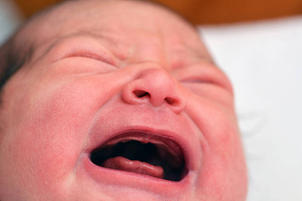 istock Newborn baby screaming 626696760