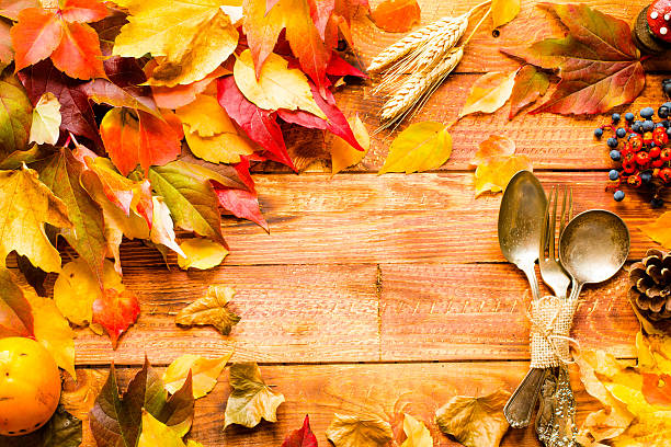 istock Thanksgiving day, autumn leaves background 626697622