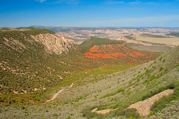 green mountain valley - picturesque america or the land we live in canyon mountain mountain range - fotografias e filmes do acervo