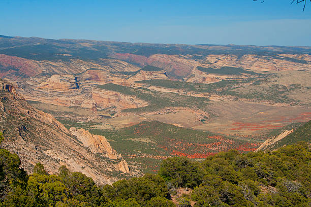 green mountain valley - picturesque america or the land we live in canyon mountain mountain range - fotografias e filmes do acervo