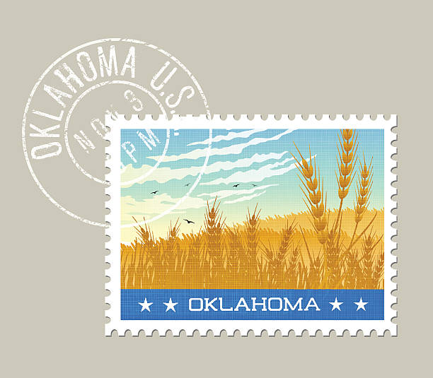 ilustrações, clipart, desenhos animados e ícones de ilustração vetorial de campos de trigo e céu em oklahoma - oklahoma