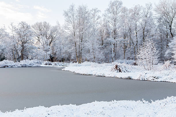 istock White winter landscape with fresh snow on frozen pond 626702764