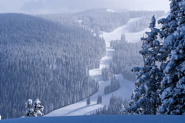 The Gore Mountain Range near Vail, Colorado