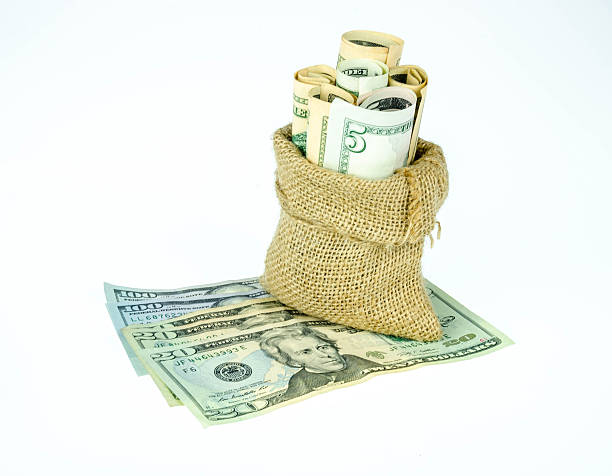 istock Money in the bag  on a white background 626709394