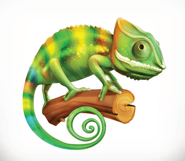 ilustraciones, imágenes clip art, dibujos animados e iconos de stock de camaleón. vector en 3d icono - chameleon