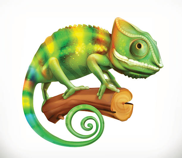 kameleon. ikona wektor 3d - chameleon stock illustrations