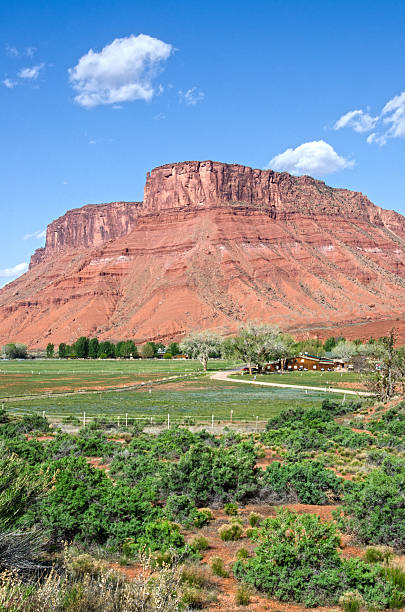 Fertile Farm Land Along Colorado River in Castle Valley Sediment from the erosion of the surrounding geology in Castle Valley, Utah has created fertile farm land along the Colorado River.  Meandering through red rock in the Colorado Plateau, the river has been one of several erosional factors in creating nearby attractions like Canyonlands National Park. rabbit brush stock pictures, royalty-free photos & images