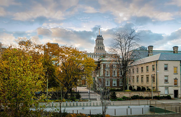 istock Buildings in Downtown Toronto - Toronto, Ontario, Canada 626723968
