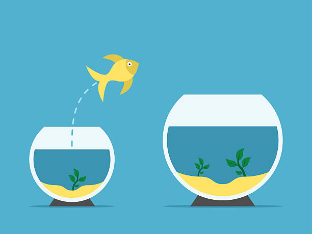 ilustrações de stock, clip art, desenhos animados e ícones de fish changing aquarium - challenge outline choice business
