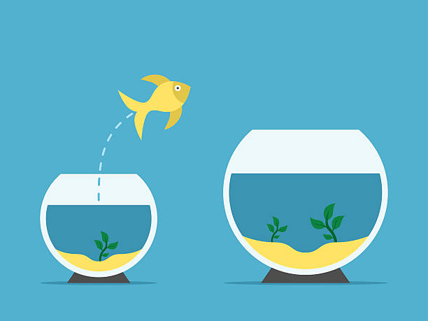 Fish changing aquarium Gold fish jumping from little to large aquarium on blue background. Courage, risk and opportunity concept. Flat design. Vector illustration. EPS 8, no transparency free images without watermark stock illustrations