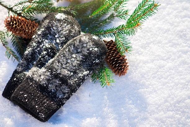 istock Mittens with fir branch and cones 626754410