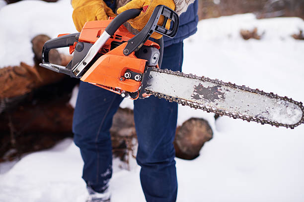 istock Man holding electric saw 626756014