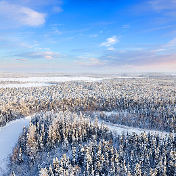 istock Top view of forest river in winter 626756432