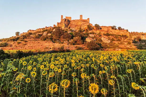 Photo of Remains of Calatañazor Castle at sunset. Calatañazor, Soria, Spain, Europe.