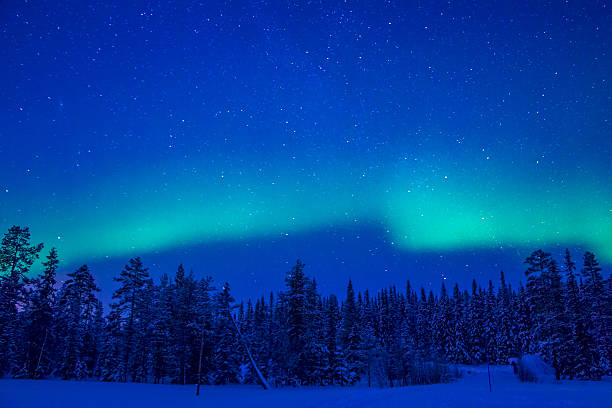 istock Northern Lights over the Winter Forest 626777340