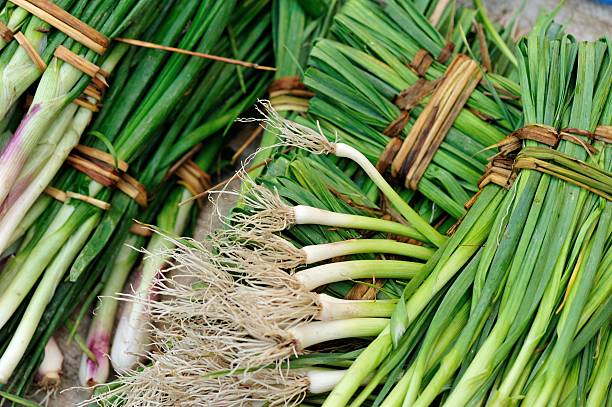 istock fresh garlic sprout selling at market 626778400