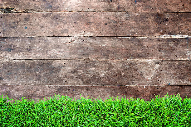 istock Grunge vintage wood wall background 626779502