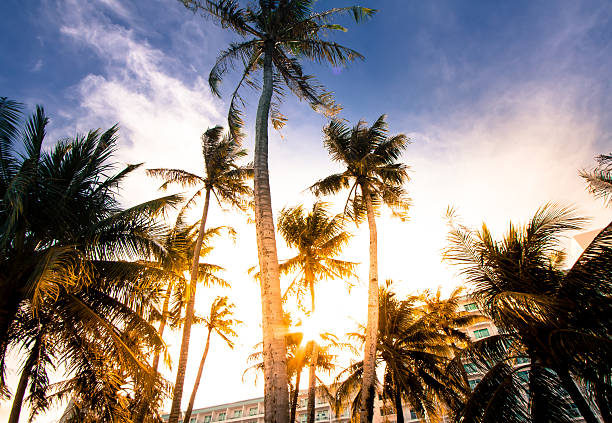 istock Sky of the tropics,cross processed colors. 626781718