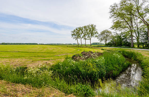 Natural hedge to block both the wind and the noise from a close by highway outside Herning, a large city on the Danish peninsular Jutland