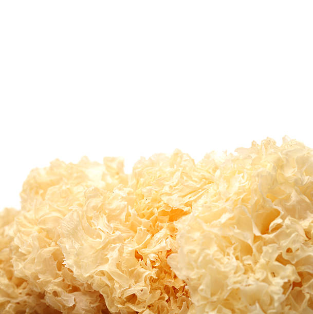 istock Tremella fuciformis,tremella 626783510