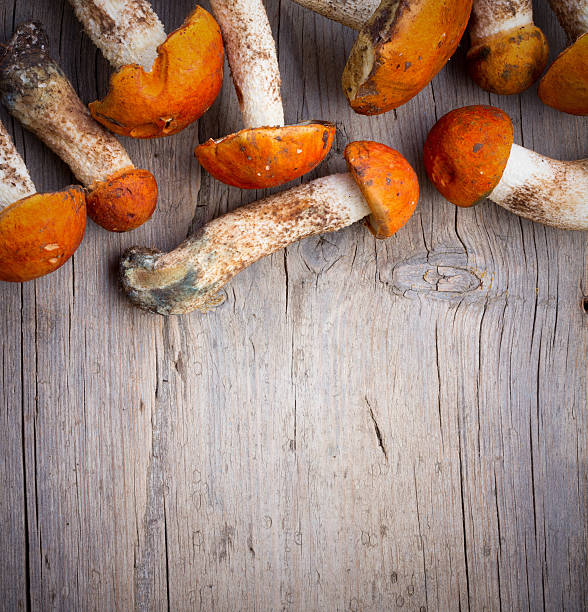 istock aspen mushrooms on a gray wooden 626784666