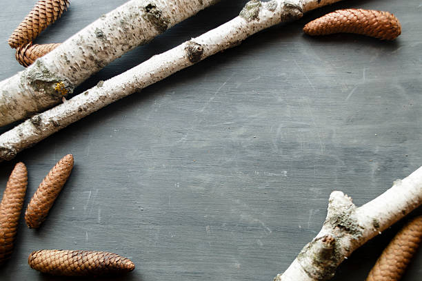 istock Christmas Holidays Background With Pine Cones and birch 626788172
