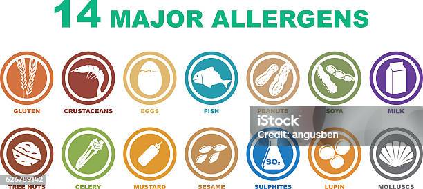 Set Of Major Allergens Icons Stock Illustration - Download Image Now - Pollen, Food, Allergy