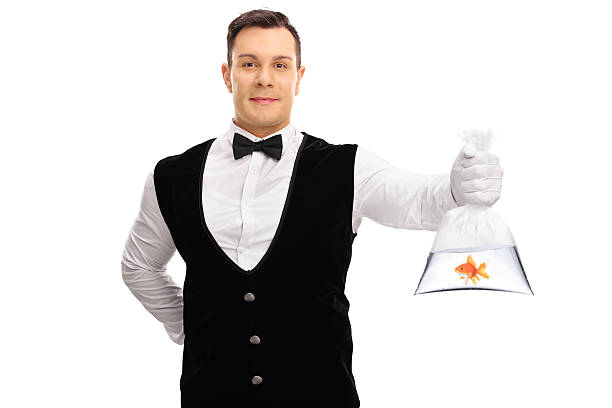 istock Young buttler giving a golden fish in plastic bag 626799018