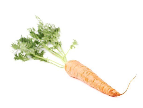 istock Carrot with the green top isolated over white background 626805346