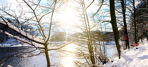 istock Winter landscape with sunshine, trees and forest lake. 626805774