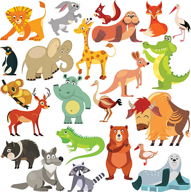 zestaw zabawnych zwierząt z całego świata. - animal doodle bear kangaroo stock illustrations