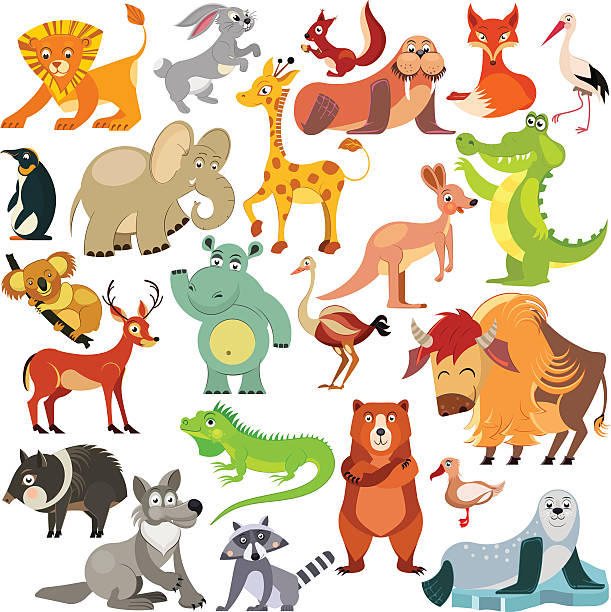 istock Set of funny animals from all over the world. 626805924