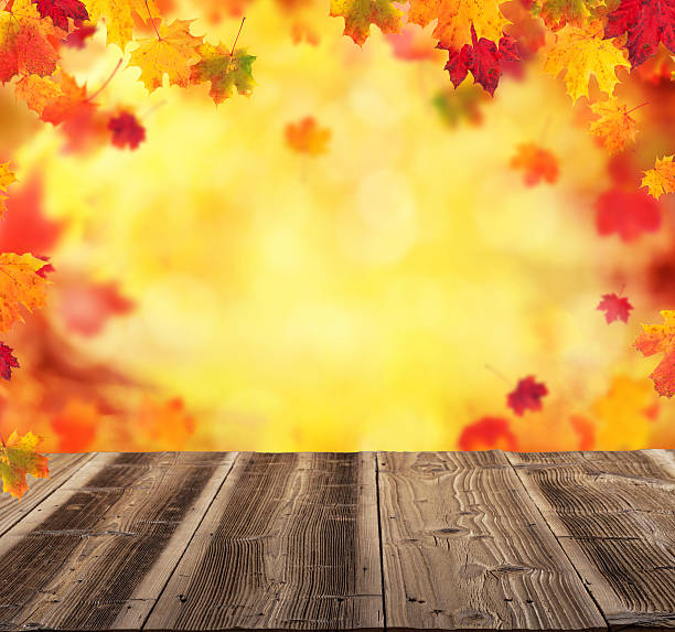 istock Abstract blur autumn background with wooden planks 626807844