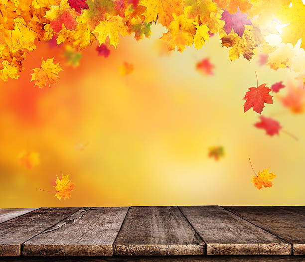 istock Abstract blur autumn background with wooden planks 626807914