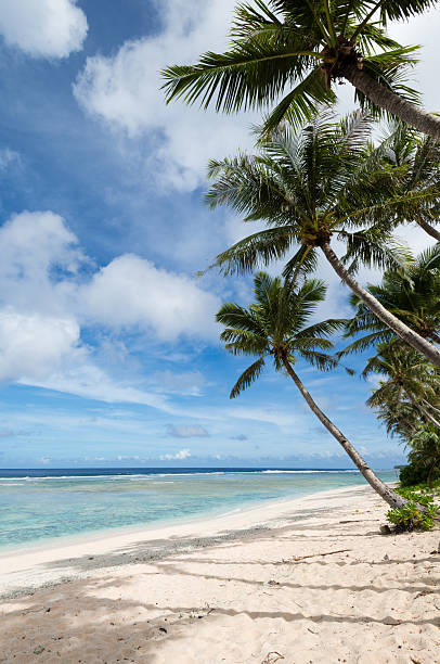 istock Coco Palm Garden Beach in Guam, USA 626808596