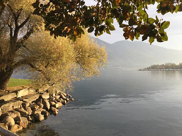 otoño en el lago - seepromenade fotografías e imágenes de stock