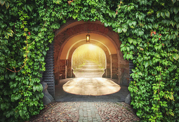Mysterious gate sunny entrance.  New life or beginning concept