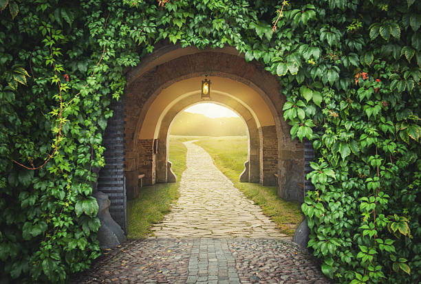 Mysterious gate sunny entrance.  New life concept stock photo